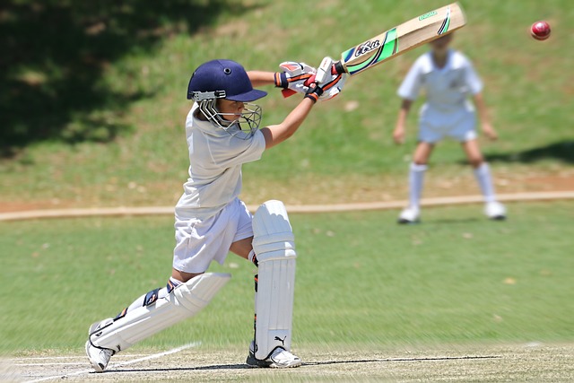 The Influence of Cricket on Literature and Art