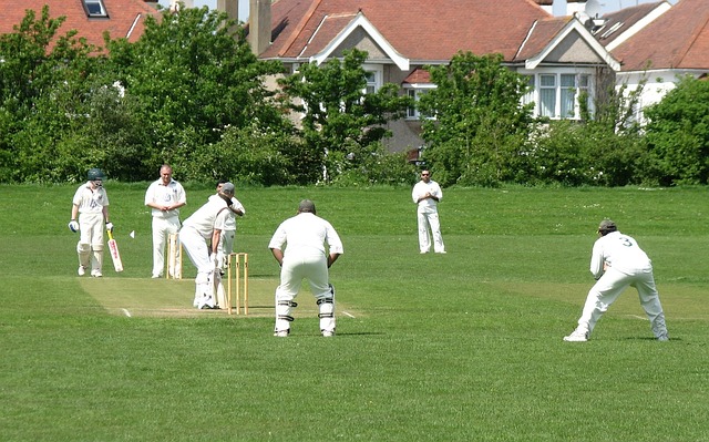 The Team Dynamics: Understanding the Chemistry That Drives Success in Cricket