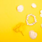 Reddybook Review: How This Digital Platform is Transforming Learning and Connecting with 11xplay